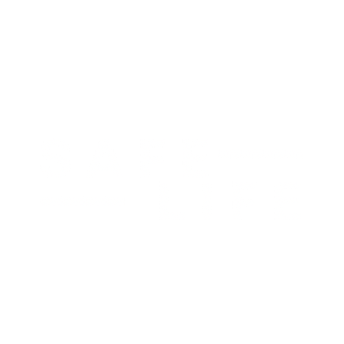 Safe Life 